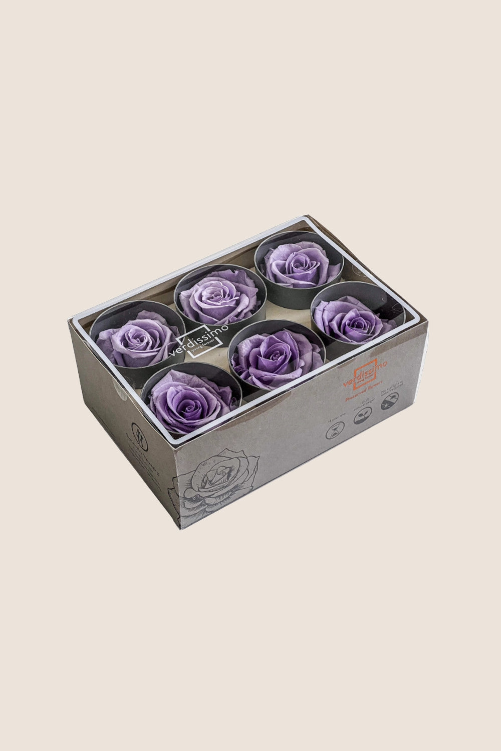 Rose Standard - Box 6 heads