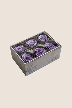 Pastel Violet