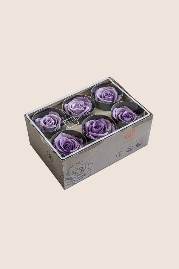 Rose Standard - Box 6 heads