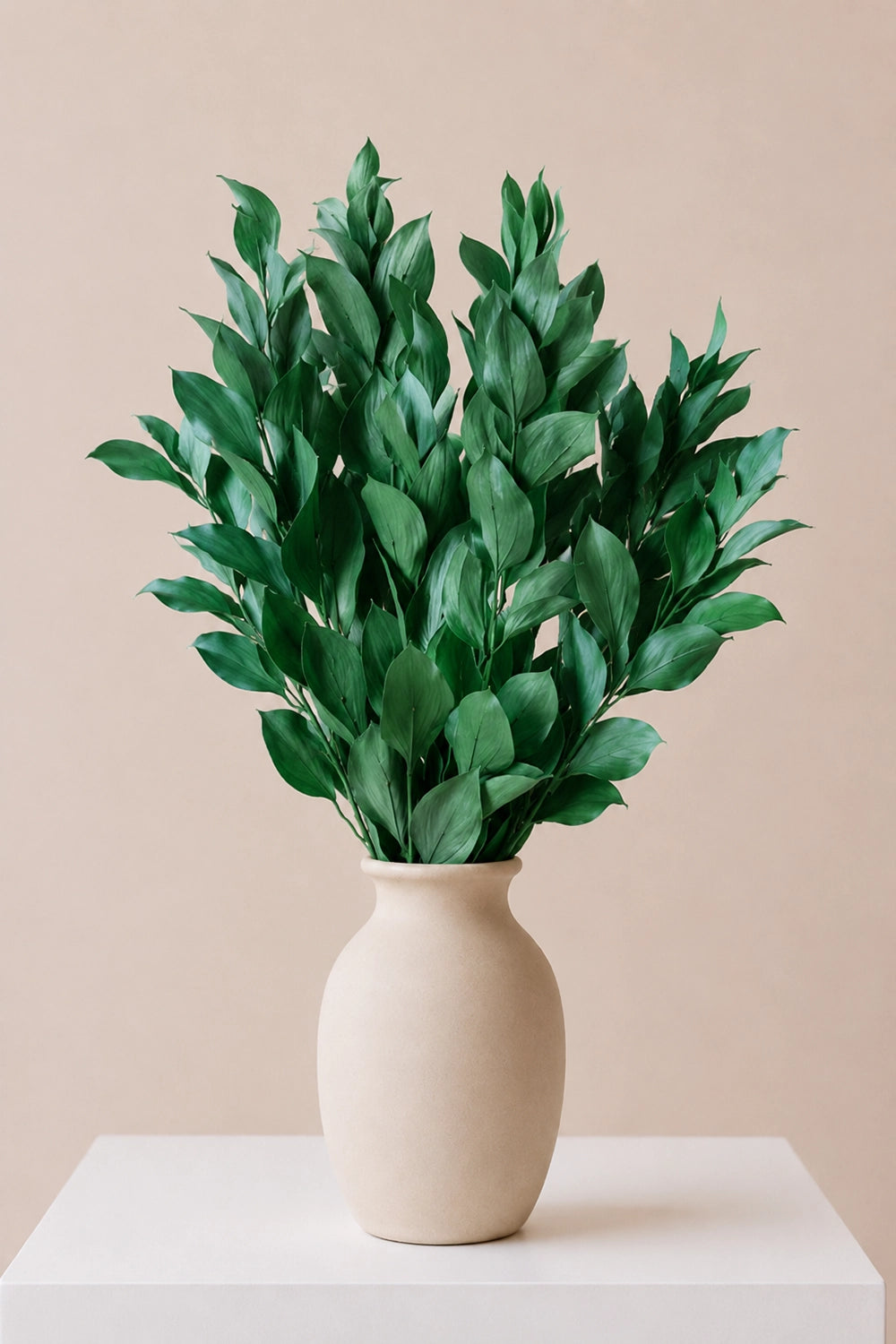 Ruscus 50/60