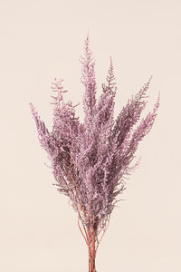 Dusty Pink