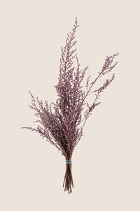 Wild Purple