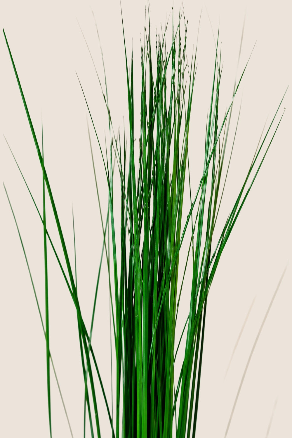 Steel Grass