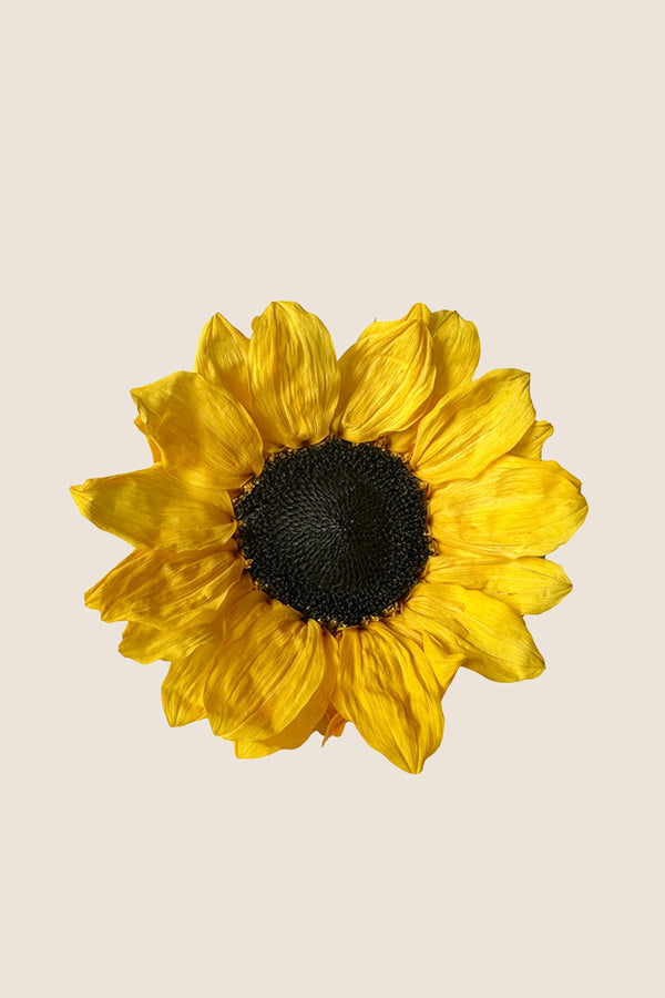 Sunflower 1 Ud.