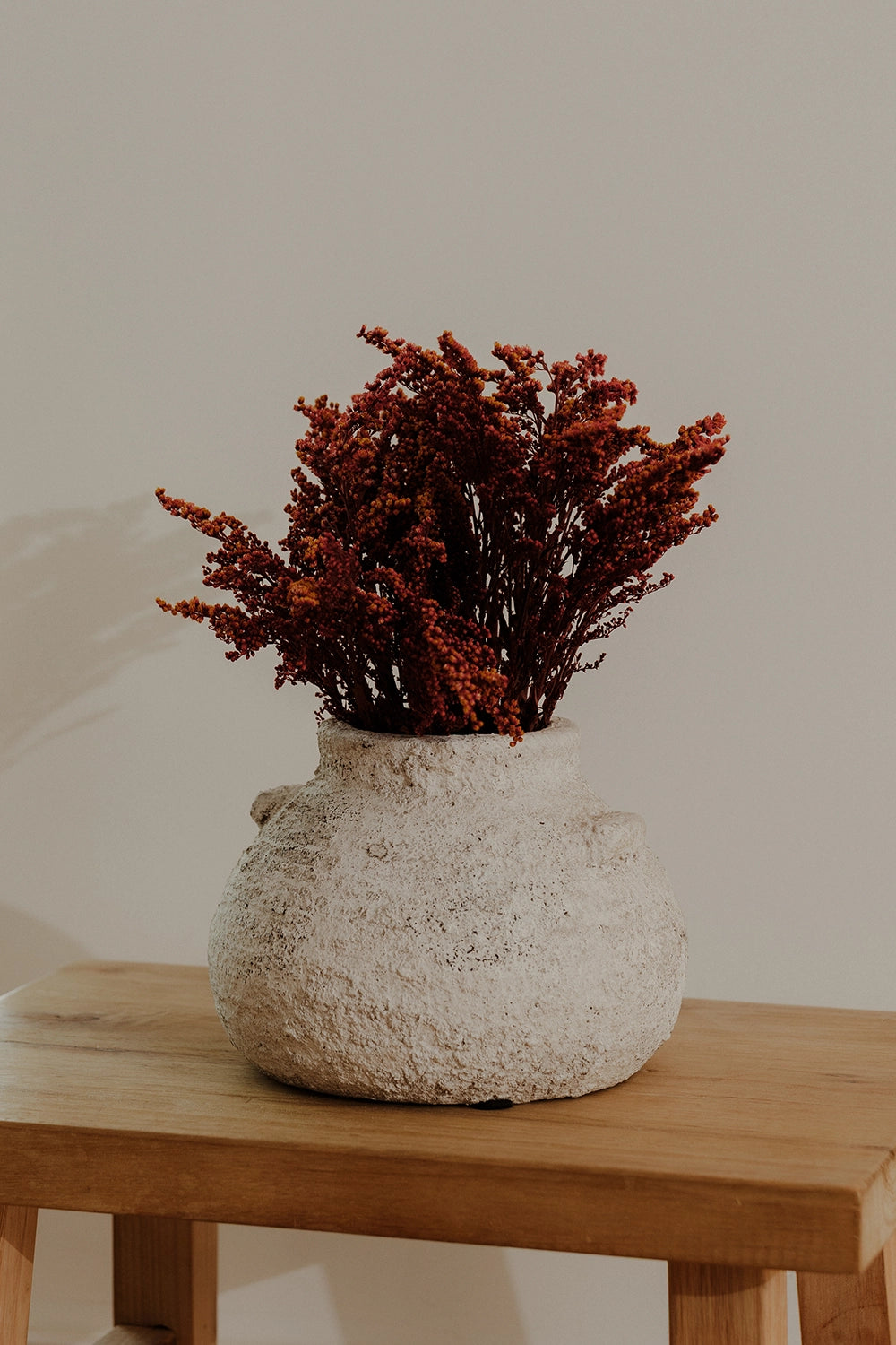 Solidago