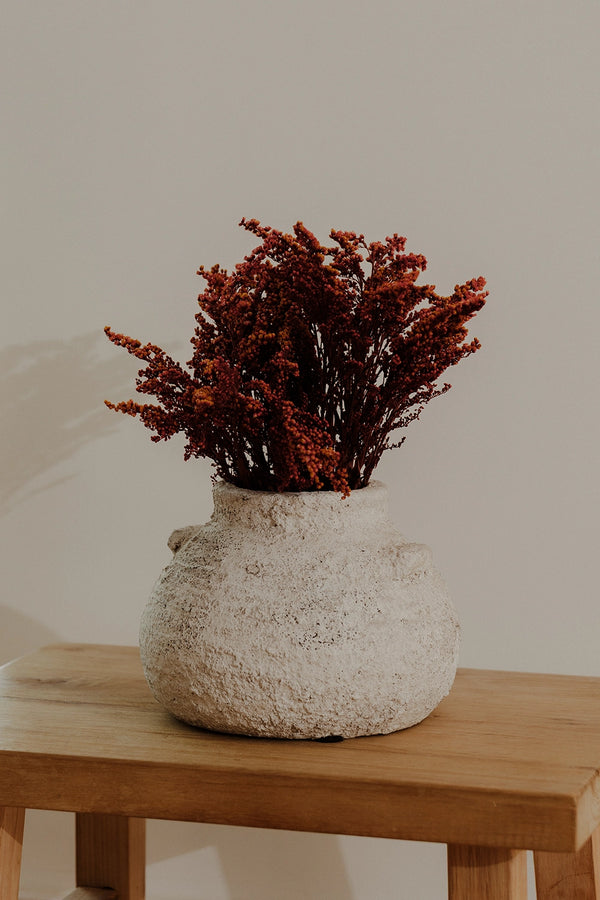 Solidago