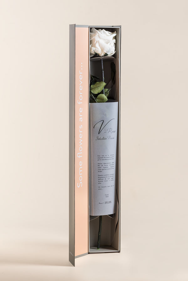 V-Rose Sélection Privée - Pack de 16 u.