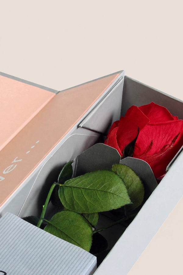 V-Rose Sélection Privée - Pack de 16 u.