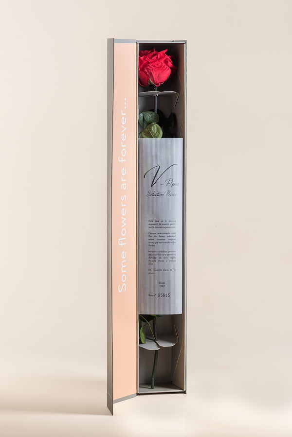 V-Rose Sélection Privée - Pack de 16 u.