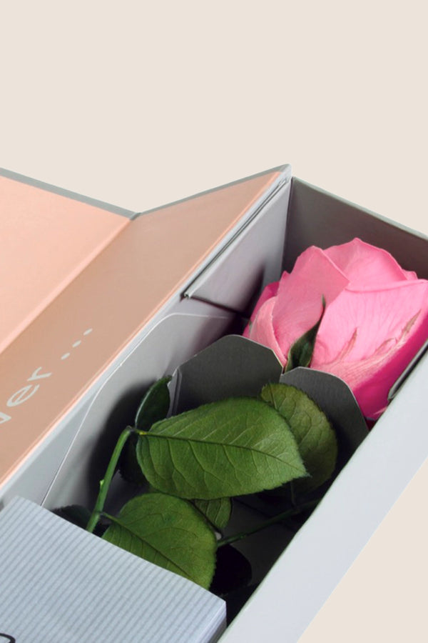 V-Rose Sélection Privée - Pack de 16 u.