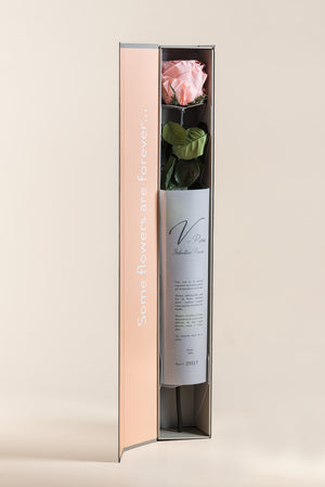 English / Pastel Pink