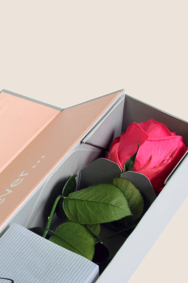 V-Rose Sélection Privée - Pack de 16 u.