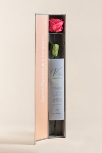 English / Dark Pink