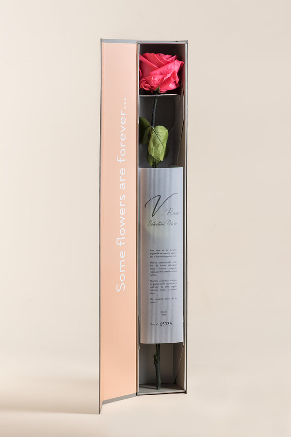 V-Rose Sélection Privée - Pack de 16 u.
