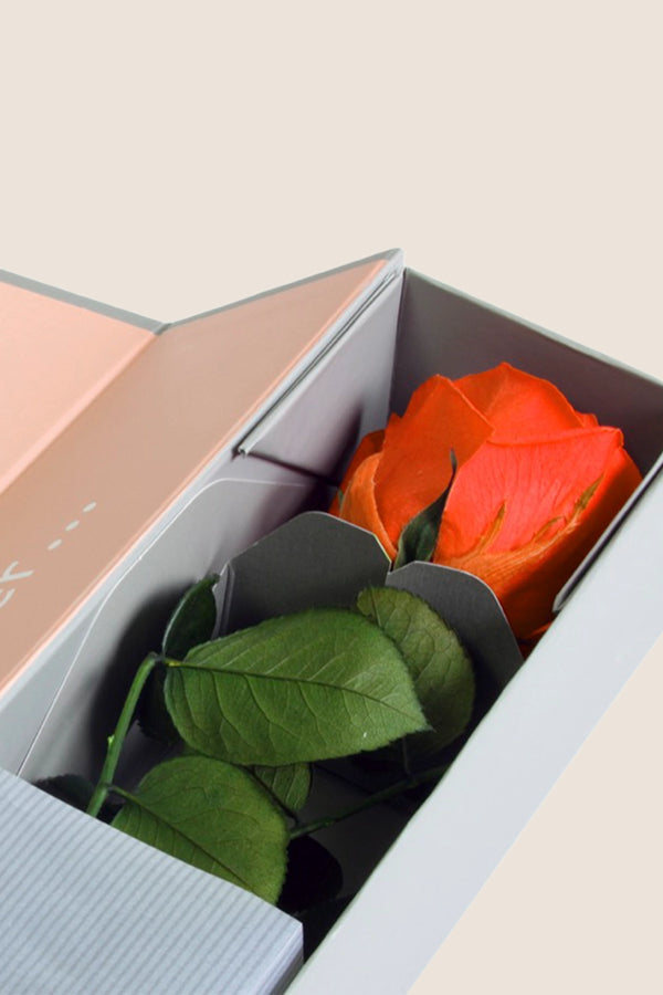 V-Rose Sélection Privée - Pack de 16 u.