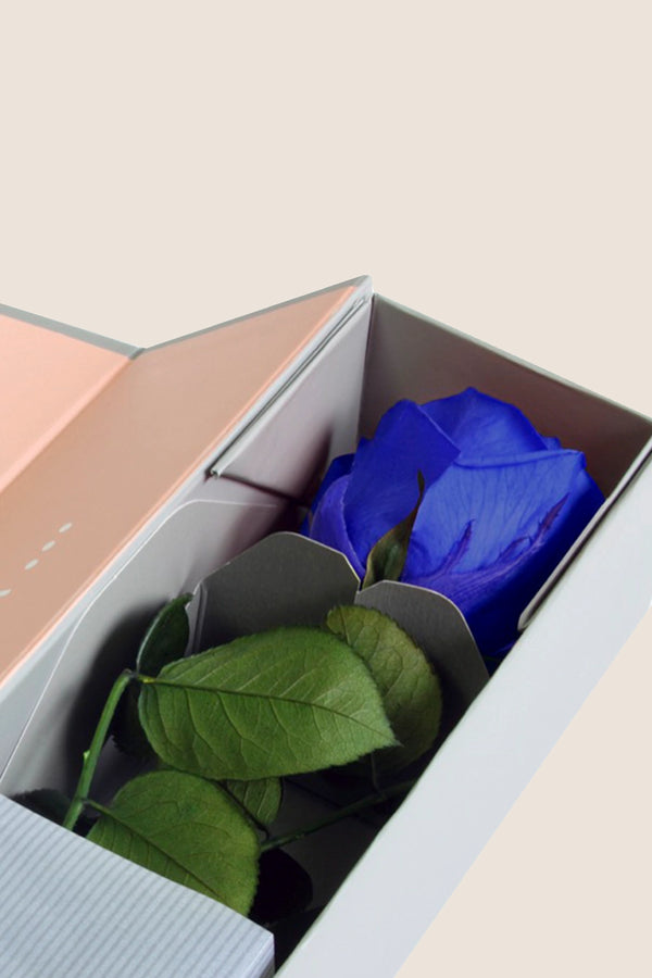 V-Rose Sélection Privée - Pack de 16 u.