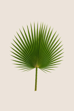 80-100 cm