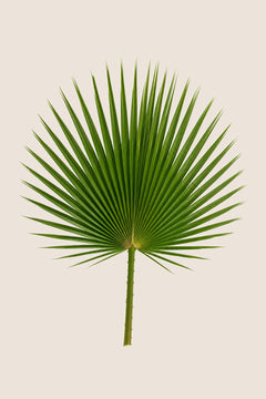 100-120 cm