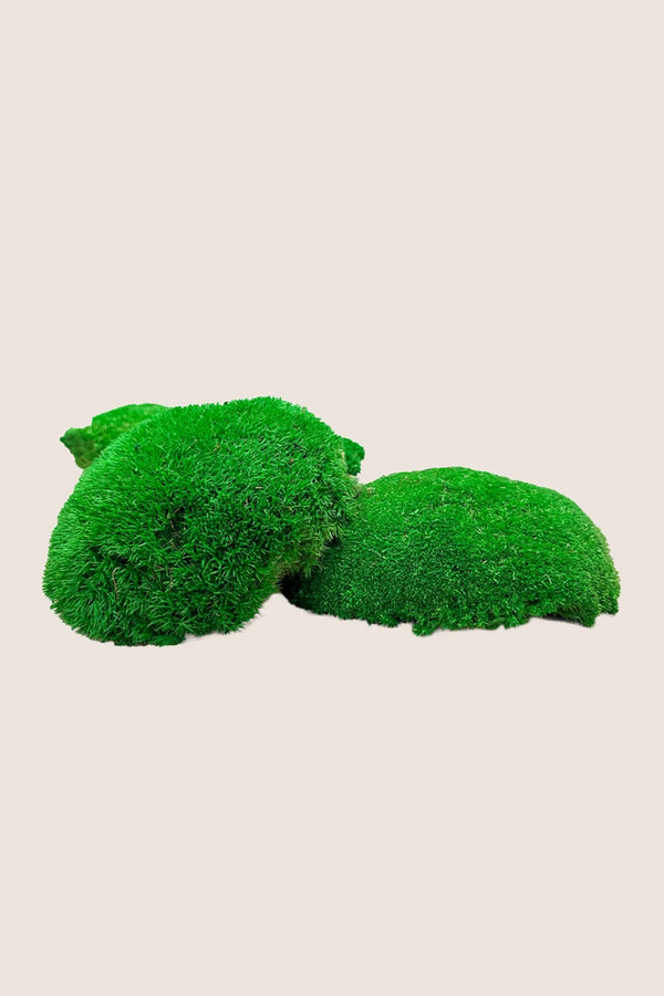 Polemoss - Boîte Vrac