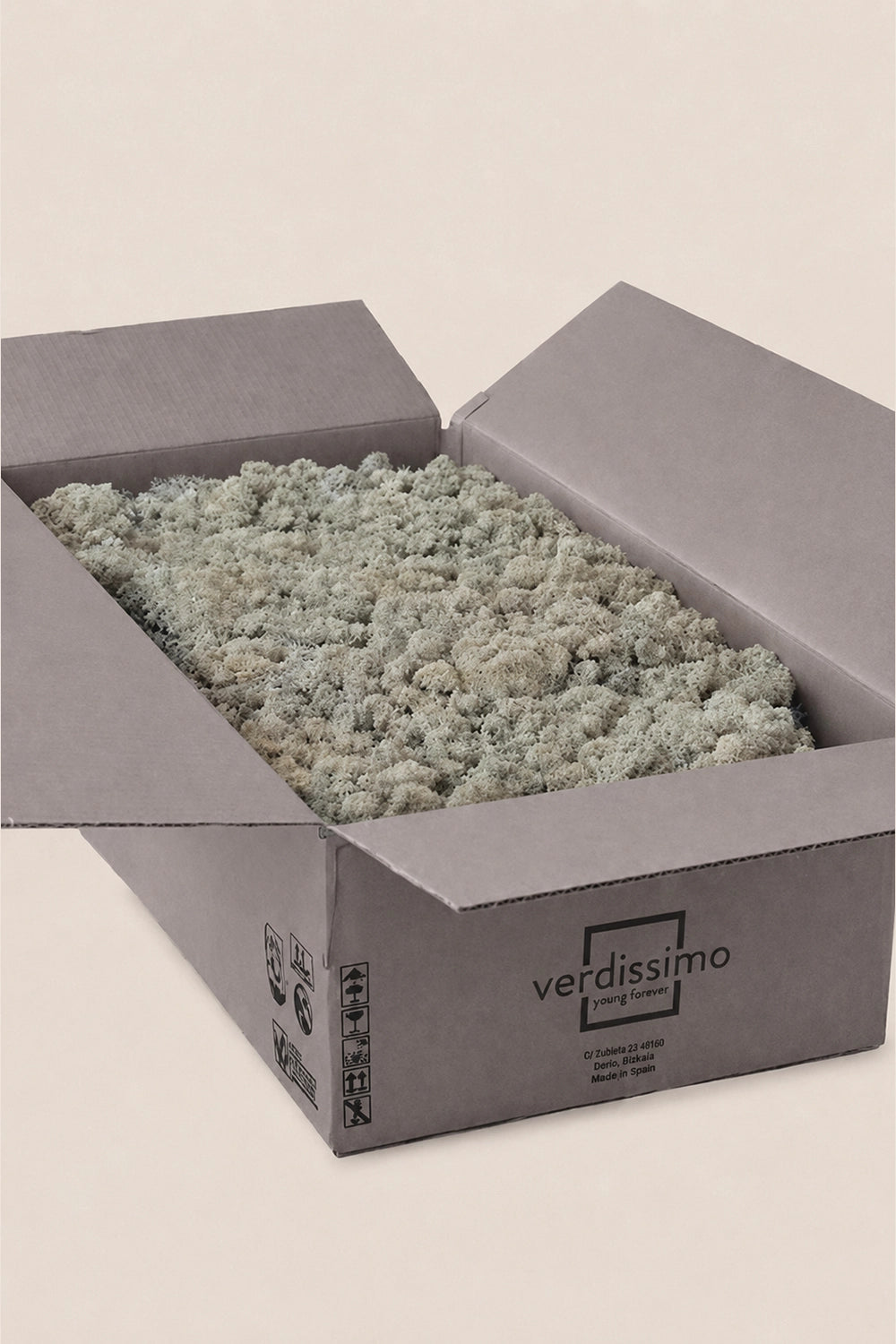 Liquen ~5Kg - Caja a Granel
