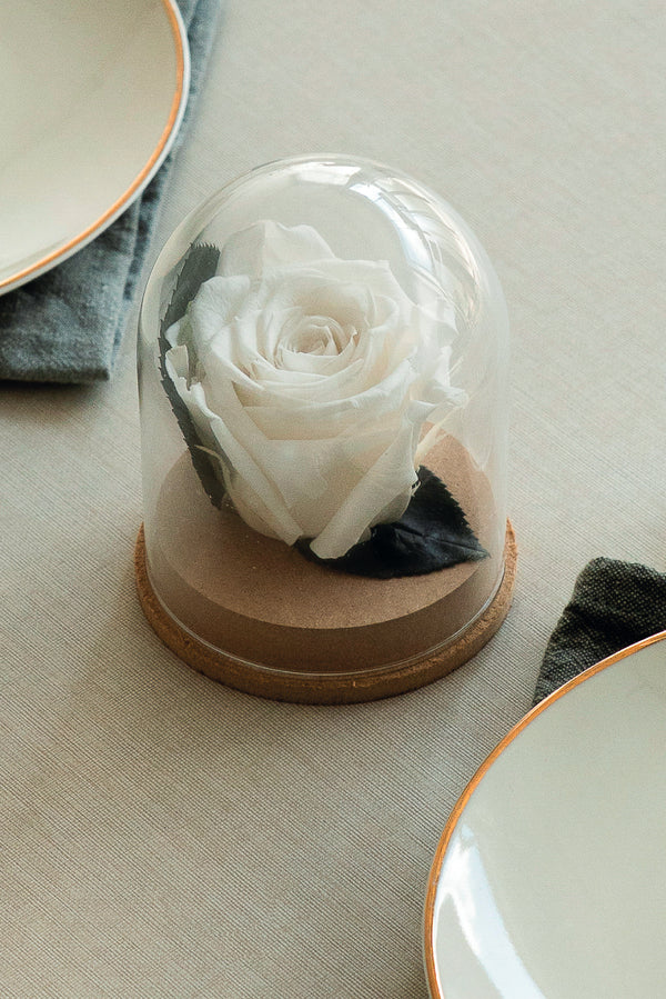 Cloche à Reine