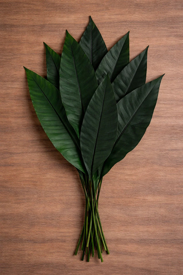 Feuille tropicale