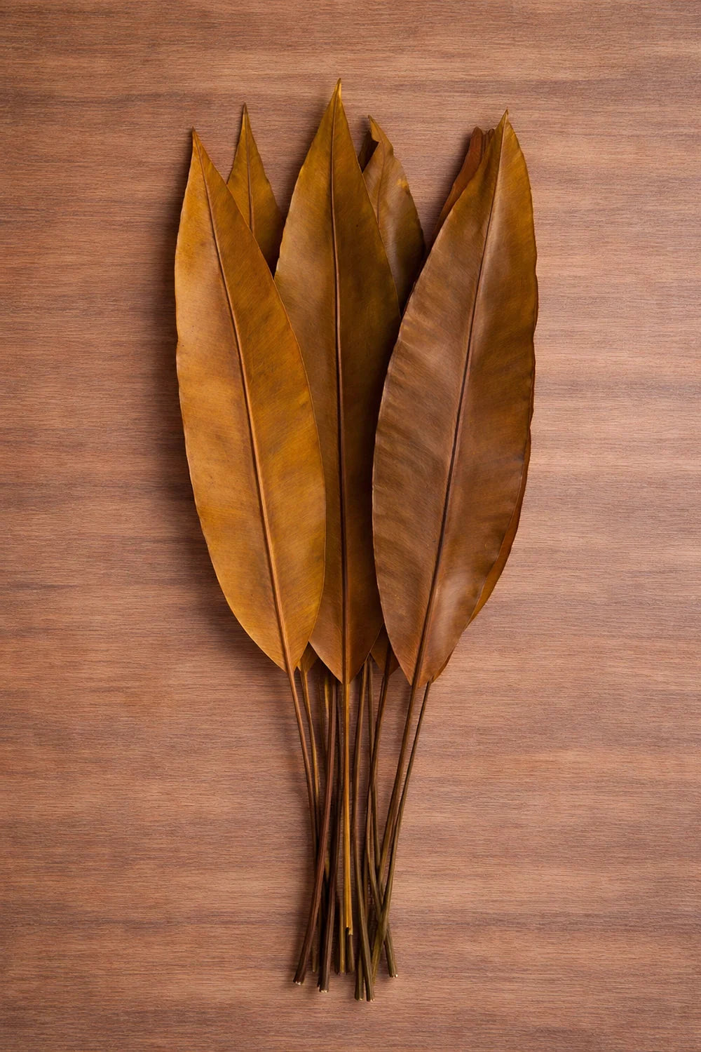 Tropical Leaf