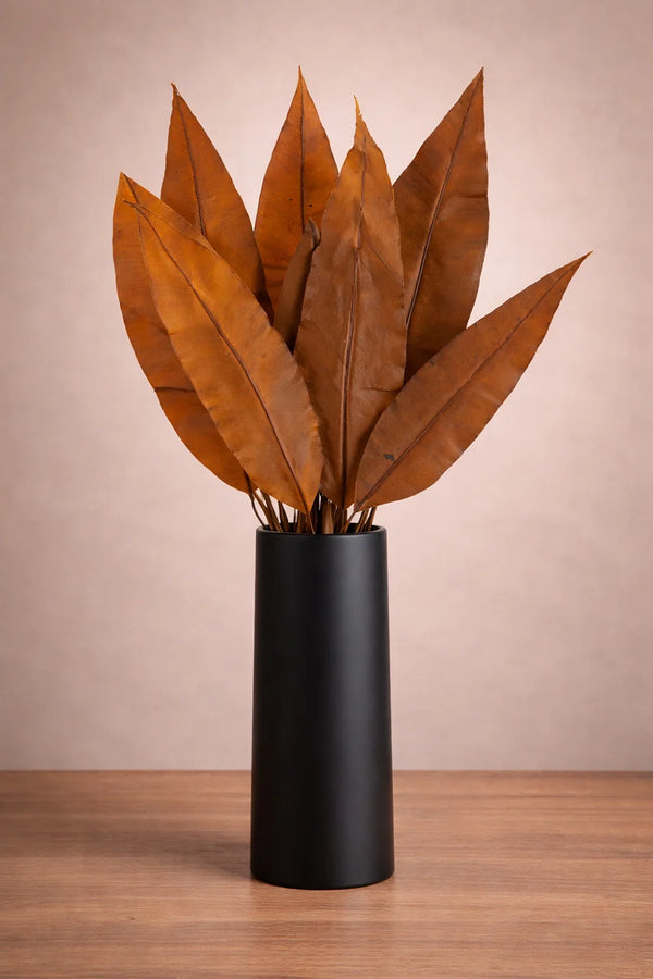 Feuille tropicale